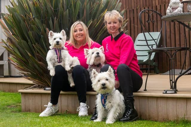 Sue Flynn, of Leeds, with Carole Jackson, Founder of the Leeds Westie group, and their dogs Pebbles, Harry, and Dougie. Picture: James Hardisty.