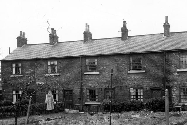 Houses on Brick Row in March 1966. Properties have gardens to the front with back doors opening onto a small pathway to the rear. Included in slum clearance plans for the Green Road area.