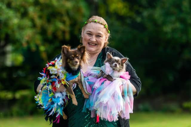 June Hodgkins, who has died suddenly aged 64, founded the Furbabies dog pageants in 2019