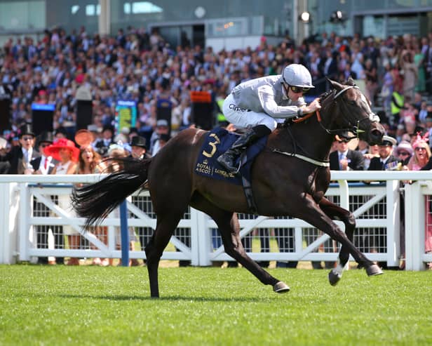 WINNER: Dramatised ridden by Daniel Tudhope wins The Queen Mary Stakes on day Two of Royal Ascot Picture: Alex Livesey/Getty Images