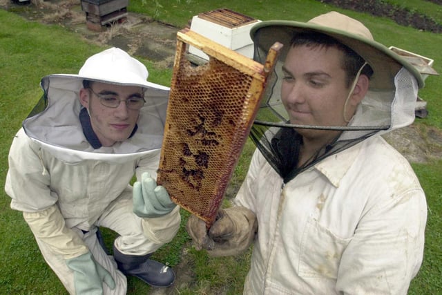 Garforth Community College pupils were taking part in a food and farming challenge at the Great Yorkshire Show by producing organic honey. Pictured are George Jones (left) and Gavin Slattery.