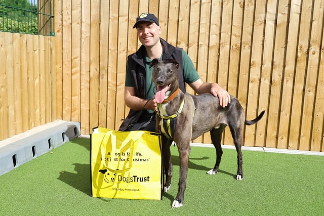 Ramsey has left the centre to start his new life in his forever home! The 3 year old Lurcher was found as a stray recently but quickly won over the staff due to his fun personality.
Now he’s headed home to begin a new chapter with his new family who love him to bits.