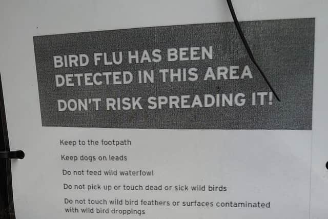 "Do not touch wild bird feathers or surfaces contaminated with wild bird droppings," the sign reads.