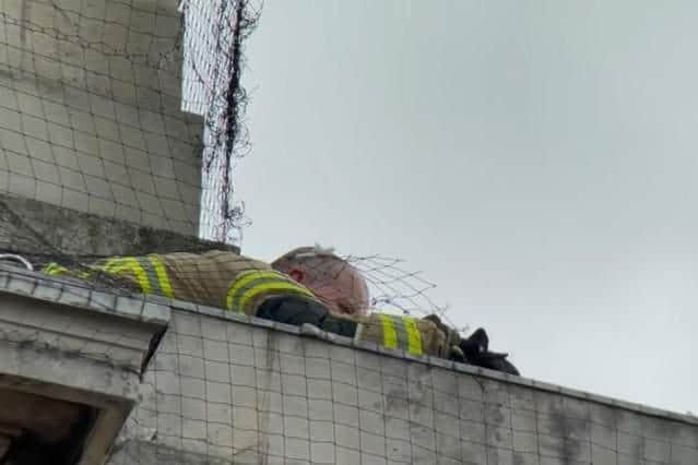 This picture, from Saturday, shows firefighters working to save the falcon - and they have been called out for a second time today (Photo: @LeedsBirder)