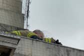 This picture, from Saturday, shows firefighters working to save the falcon - and they have been called out for a second time today (Photo: @LeedsBirder)