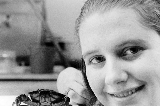 Josephine Hornby pictured with Clara the crab at Leeds City Museum in February 1970.