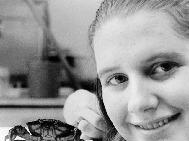 Josephine Hornby pictured with Clara the crab at Leeds City Museum in February 1970.