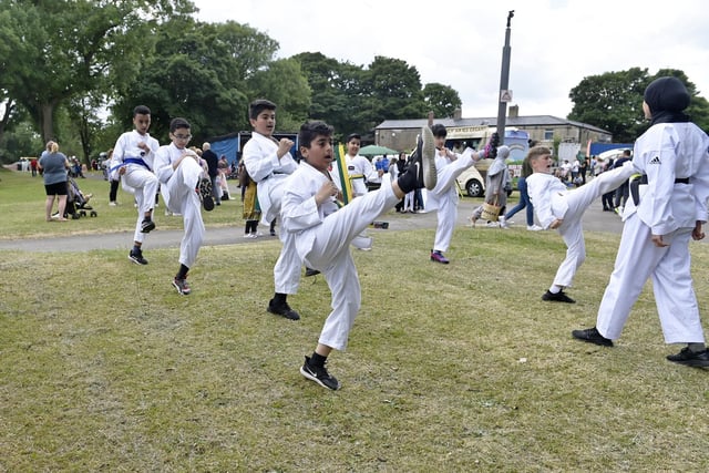 Leeds All Stars Taekwondo showed off their skills at the festival too.