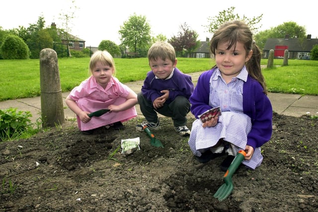 Reception children at St Francis RC Primary plant seeds ready for harvest festival in autumn. Pictured are, from left, Victoria Fletcher, Charlie Moore and Ciara Brennand