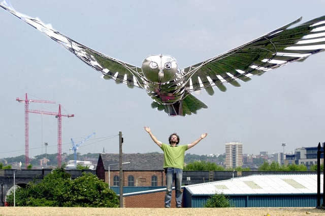 Sculptor Steve Blaylock was hoping to design a huge steel owl structure within the Holbeck Triangle area of Leeds.