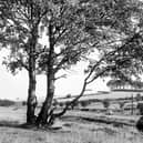 Do you remember King Alfred's Castle?