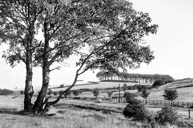 Do you remember King Alfred's Castle?