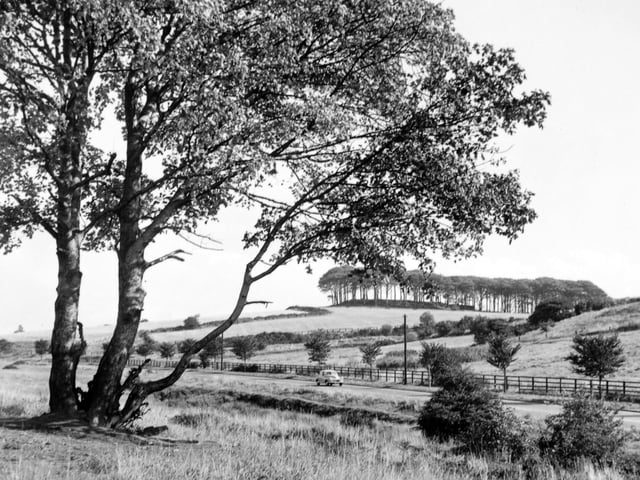 King Alfred's Castle from the Leeds ring road at Moortown in September 1953.