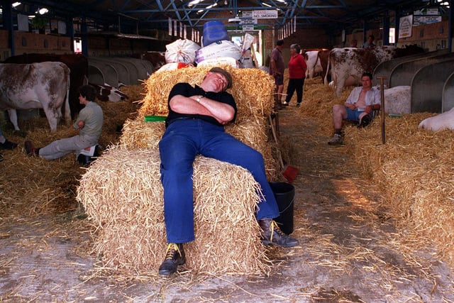 The long wait for the Great Yorkshire Show to start in July 1999.