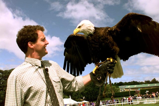 Falconer Chris O'Donnell is pictured with his six-year-old Bald Headed Eagle called Sydney. Both were demonstrating n front of the crowds at the Great Yorkshire Show in July 1998.
