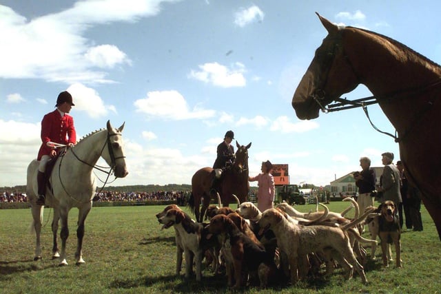 The Devon and Somerset Stag Hounds at the Great Yorkshire Show in July 1999.