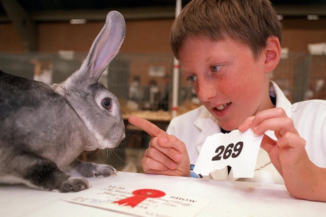 Steward Andrew Rush points to a Chin-Rex rabbit which came first in class 111 in July 1998.
