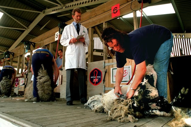 Kate Creer, from the Isle of Man, takes part in the Great Yorkshire Show junior sheep shearing competition in July 1997.