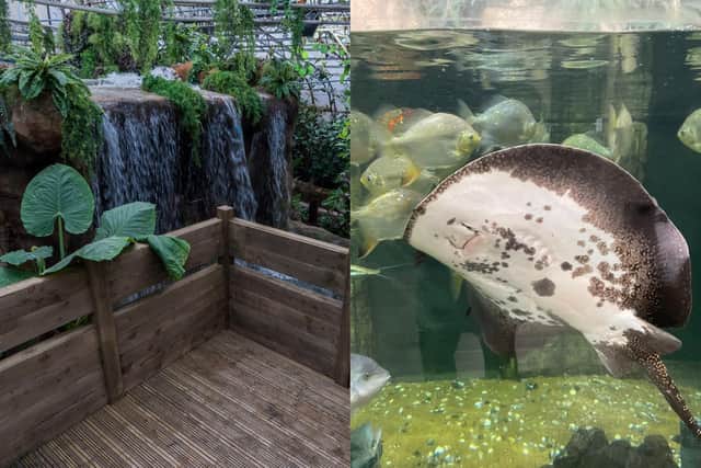 Tropical World, Roundhay, will be closed for two days