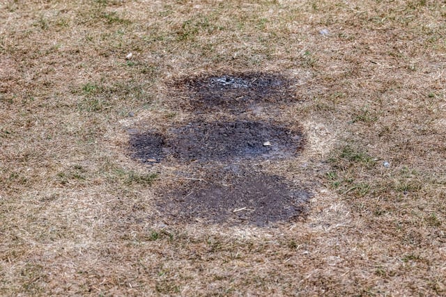 Marks on the grass after three disposable barbecues scorched the ground at Roundhay Park.