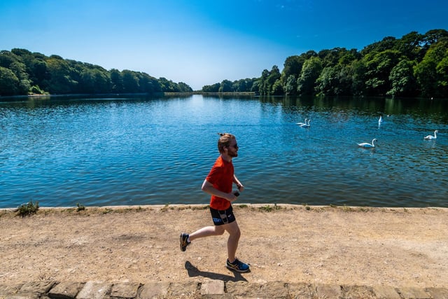 A runner powered through the warm conditions whilst out in Roundhay Park.