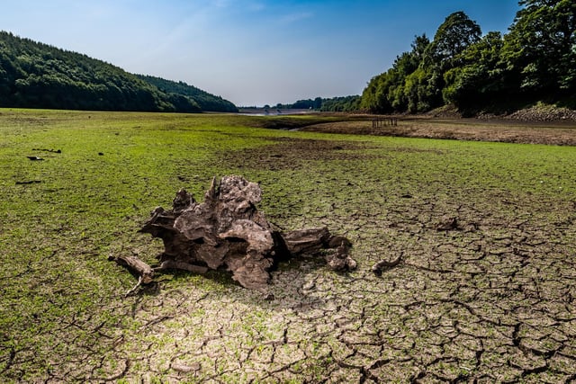 The exposed mudbeds at Lindley Wood Reservoir, near Otley, on Monday