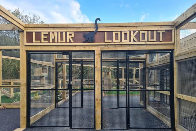 The space for lemurs has been built during lockdown.