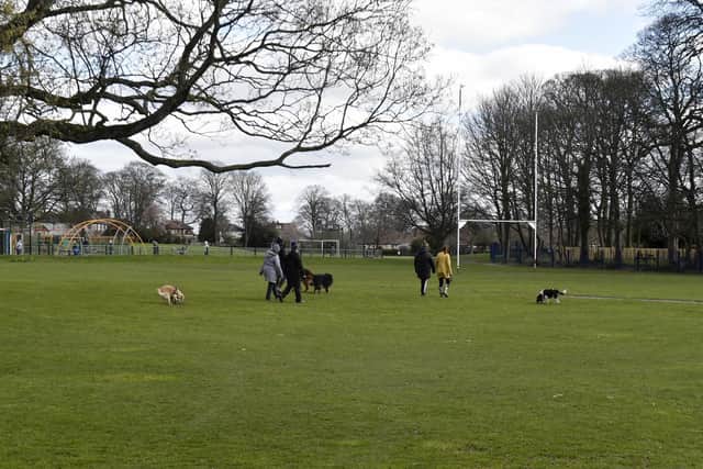 Dog walkers in Manston Park.
