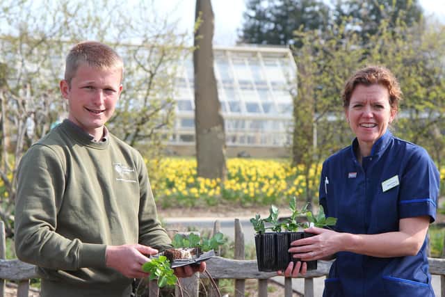 Horticulturist Joe Lofthouse with Georgie Duncan, an intensive care unit nurse and deputy chief clinical information officer at Leeds Teaching Hospitals NHS Trust.