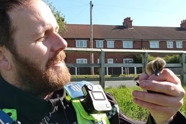 Officers quickly quacked the case (Photo: WYP)