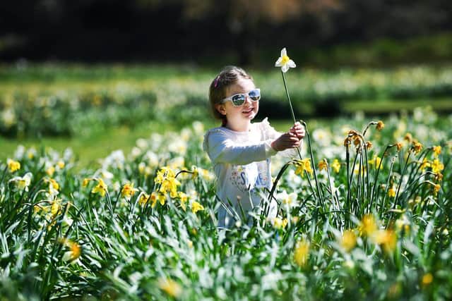 Four-year-old Lucy Marjorbanks enjoys the warm weather on a visit to Temple Newsam. Picture: Jonathan Gawthorpe