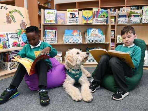 Dougie loves being read to by children at Primley Wood primary school.