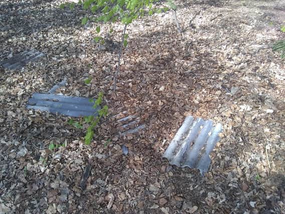 A photograph of the suspected asbestos in Beckett Park