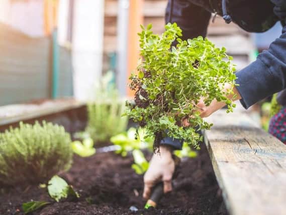 New research shows that people who rent a home in Leeds are paying more than almost any other UK city to have a garden in their home.