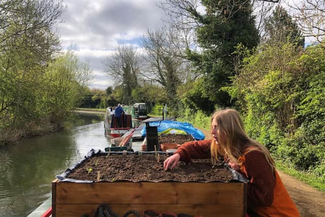 Lauren has begun to create a vegetable garden on top of the boat.