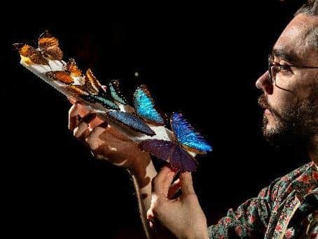 The preserved bugs are the project’s way of ‘getting people excited’ about science (photo: Bruce Rollinson)