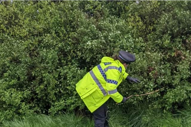 Officers searched Hesketh Park in Tingley as part of Operation Sceptre - which brings a "nationwide focus to knife crime"