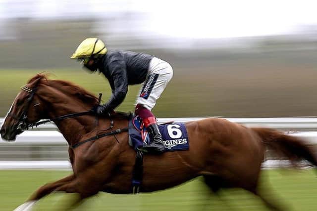 Stradivarius ridden by Frankie Dettori on their way to winning the Longines Sagaro Stakes at Ascot.