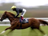 Stradivarius ridden by Frankie Dettori on their way to winning the Longines Sagaro Stakes at Ascot.