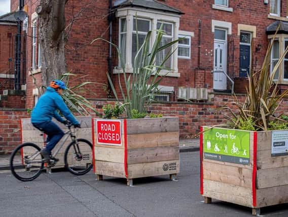 Planter boxes in Chapel Lane, Hyde Park.