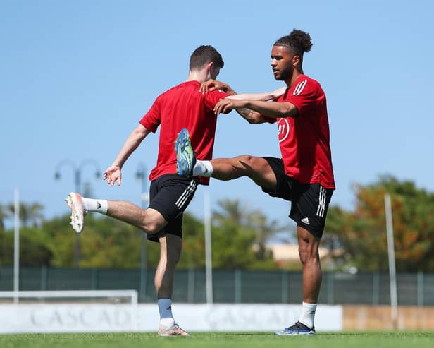 EUROS BOUND - Tyler Roberts has been included in Rob Page's Wales squad for the European Championships after a run of starts for Leeds United in the Premier League. Pic: Getty