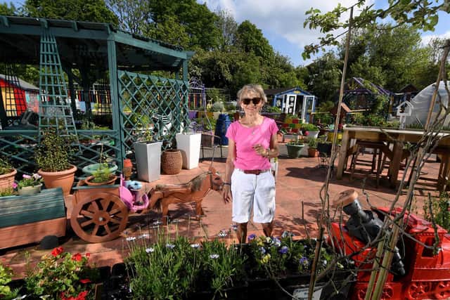 June Perkin, founder of Growing Rooms, in the community allotment.