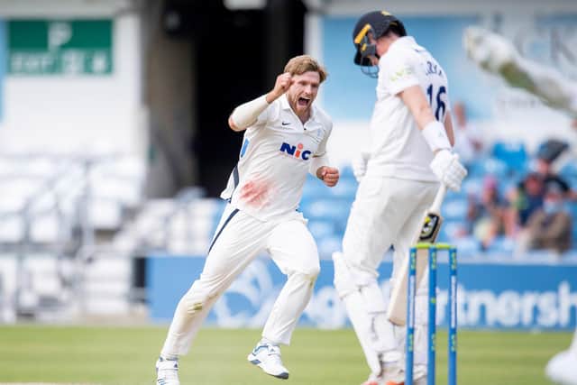 That's out: Yorkshire's David Willey celebrates dismissing Sussex's Jack Carson. Picture by Allan McKenzie/SWpix.com
