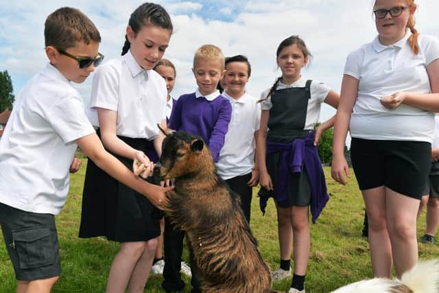 Pupils at Clapgate Primary School,with the school goats Pablo and Pedro.