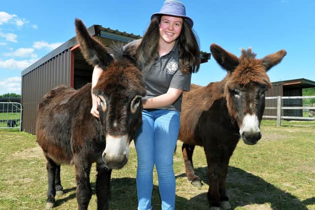 Jenny Howarth at  the Wonky Donkey sanctuary at Cridling Stubbs near Knottingley.

Photo: Jonathan Gawthorpe