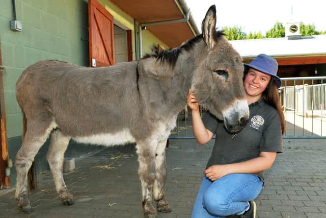Jenny Howarth at  the Wonky Donkey sanctuary at Cridling Stubbs near Knottingley.

Photo: Jonathan Gawthorpe