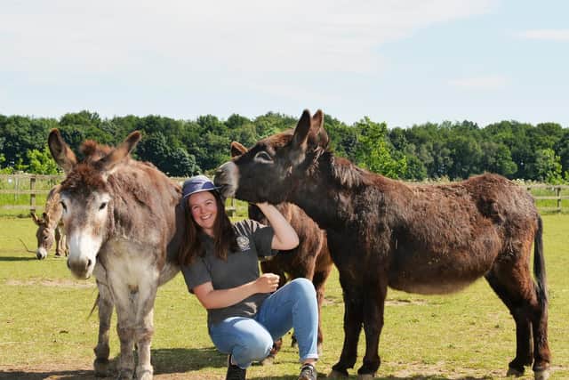 Jenny Howarth at  the Wonky Donkey sanctuary at Cridling Stubbs near Knottingley.

Photo: Jonathan Gawthorpe