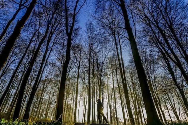 The new parkland on the former South Leeds Golf Course could include a memorial to Covid-19 victims (file photo: James Hardisty).