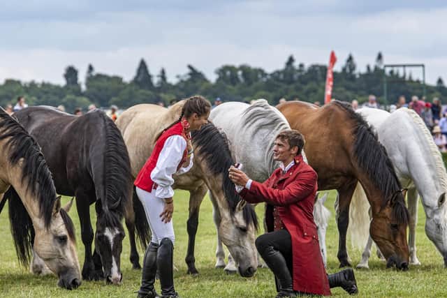 Ben Atkinson proposes to Georgie Jackson in the main ring during his performance with Atkinson action horses from Eastrington near Goole. Picture Tony Johnson