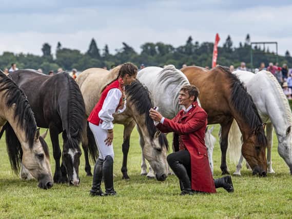 Ben Atkinson proposes to Georgie Jackson in the main ring during his performance with Atkinson action horses from Eastrington near Goole. Picture Tony Johnson